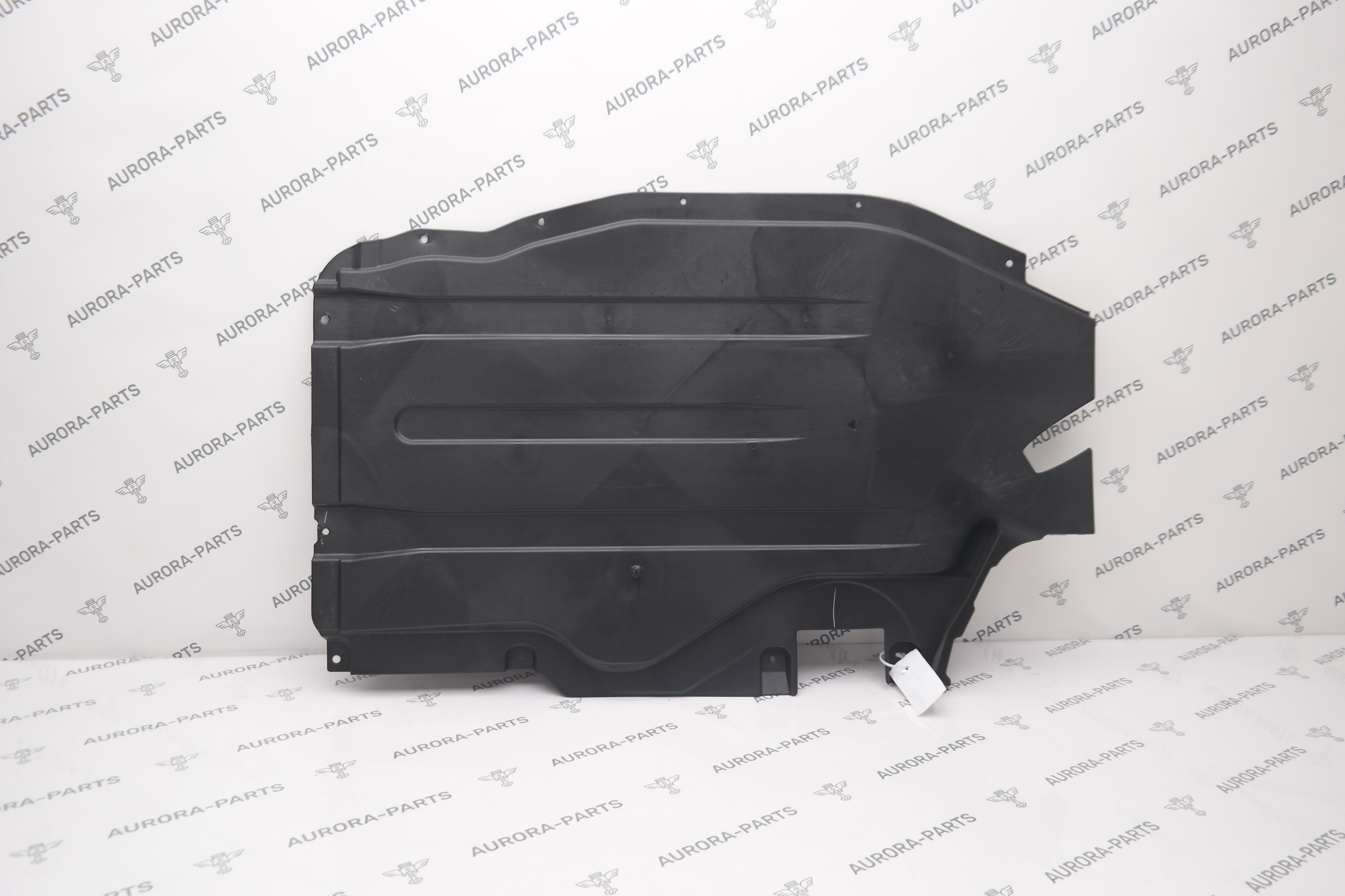 Защита днища RH BMW X6